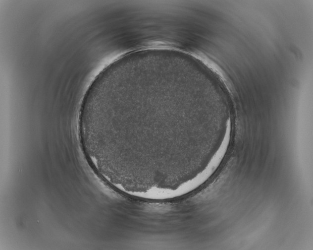 X0000111371333200908071206