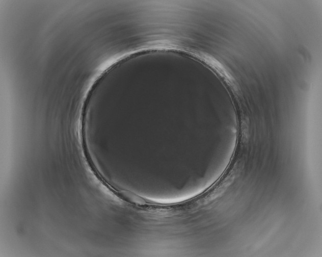 X0000111371334200908071206
