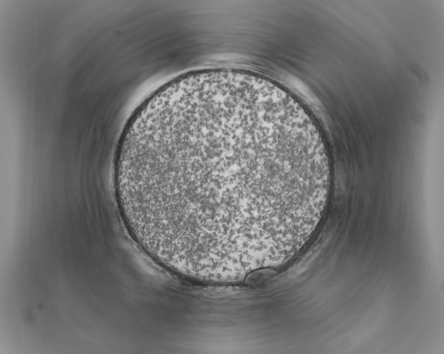 X0000111371336200908071206