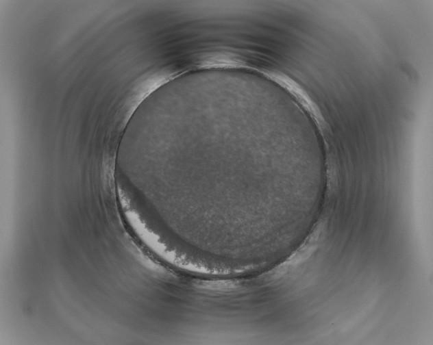 X0000111371337200908071206