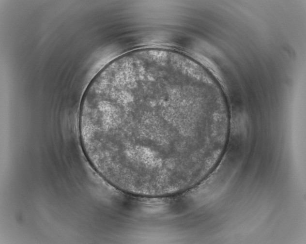 X0000111371338200908071206
