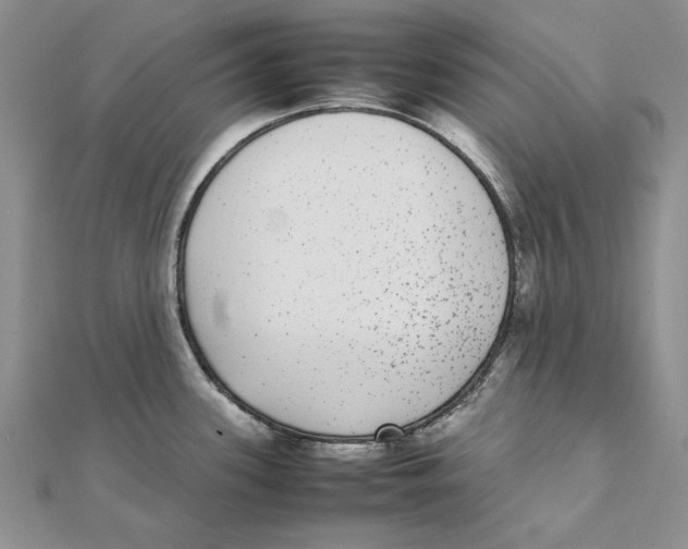 X0000111371339200908071206