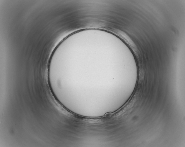 X0000111371340200908071206