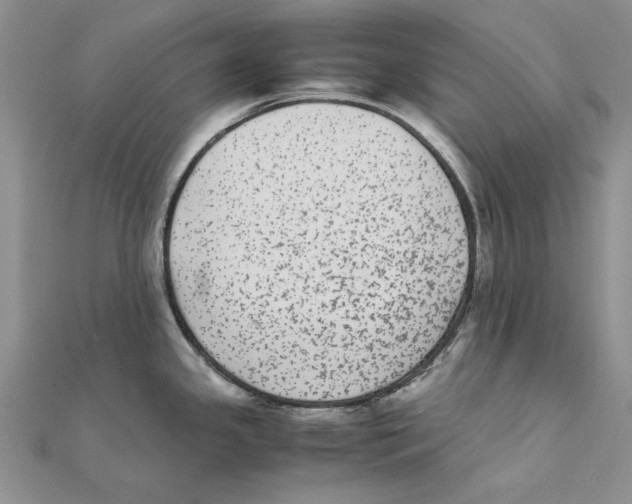 X0000111371341200908071206