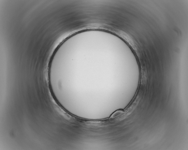 X0000111371342200908071206
