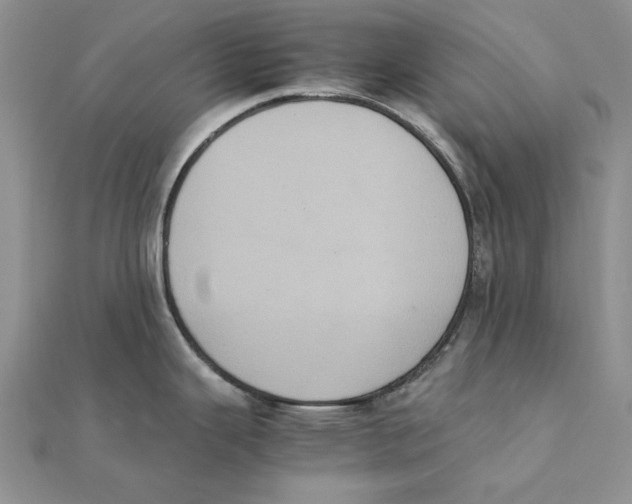 X0000111371343200908071206