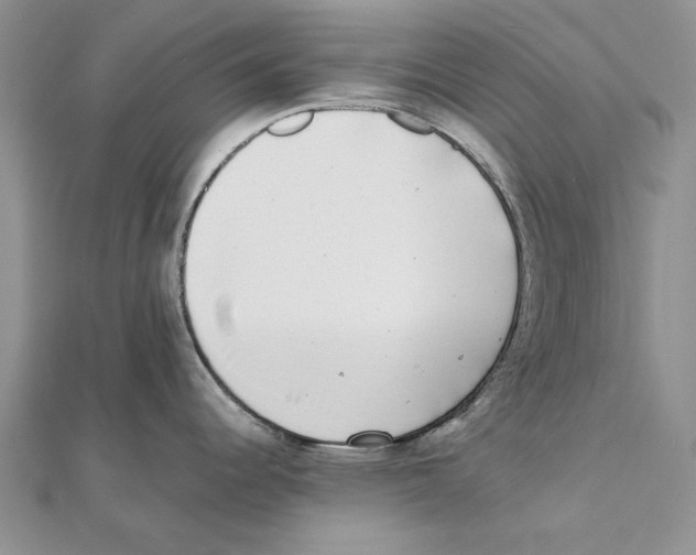 X0000111371344200908071206