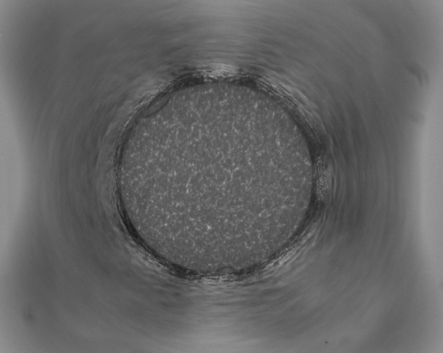 X0000111371345200908071205