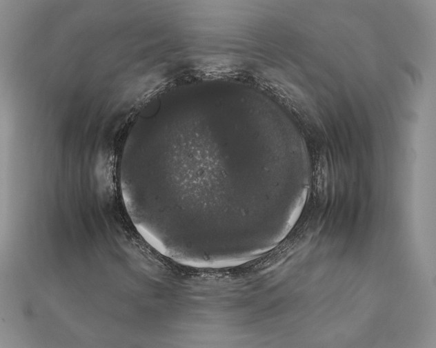 X0000111371346200908071205