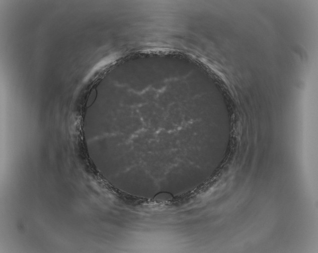 X0000111371351200908071205