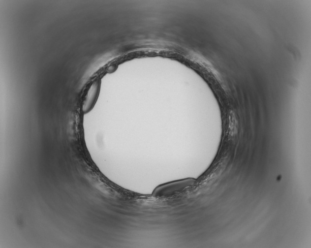 X0000111371352200908071205