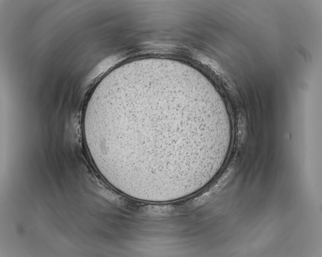 X0000111371354200908071205