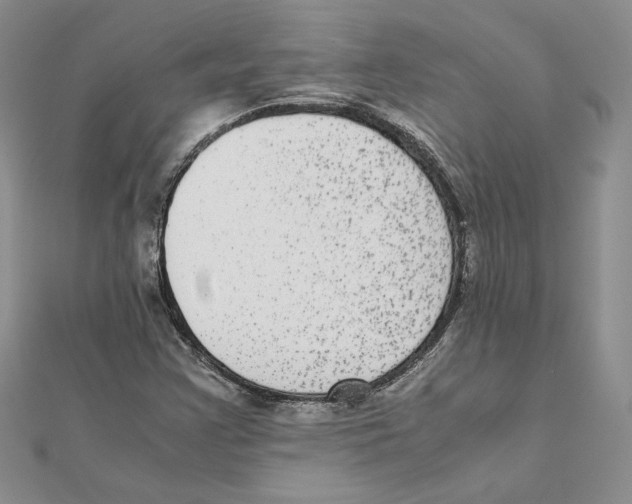 X0000111371355200908071205