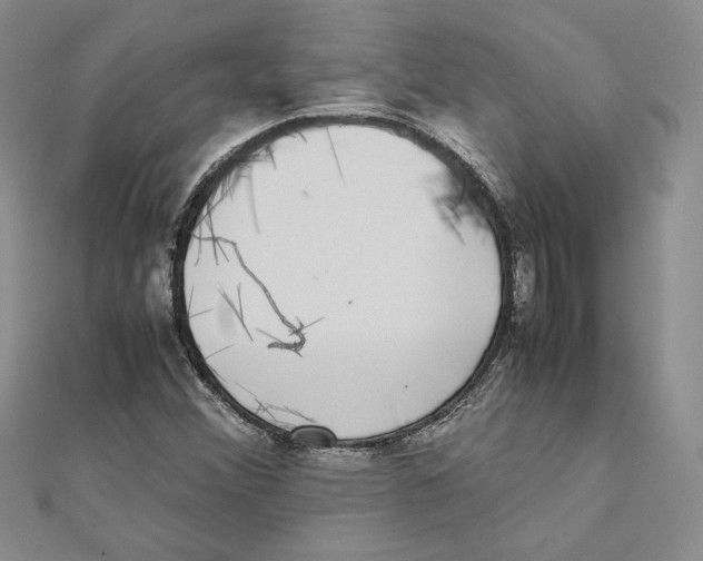 X0000111371356200908071205