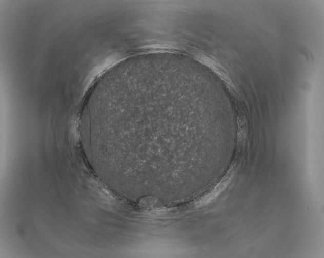 X0000111371357200908071205