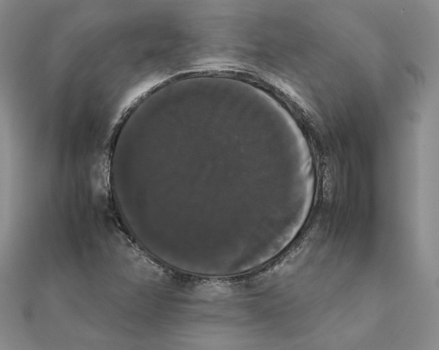 X0000111371358200908071205