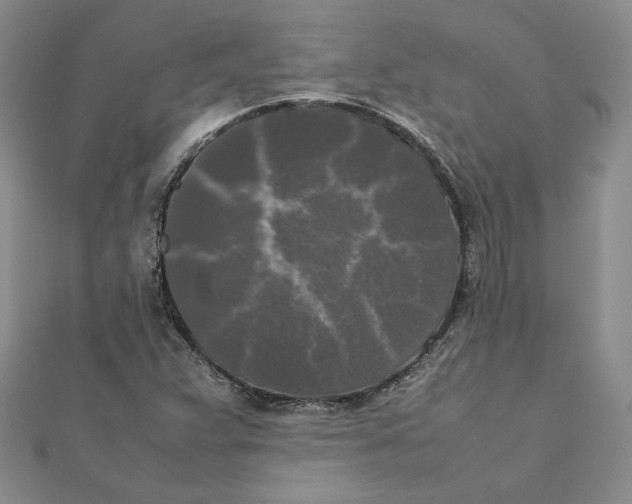 X0000111371359200908071205