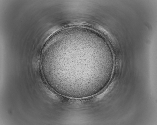 X0000111371361200908071205
