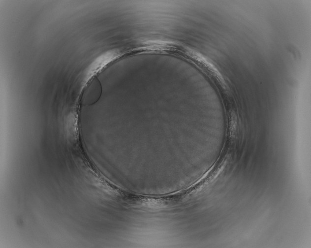 X0000111371362200908071205