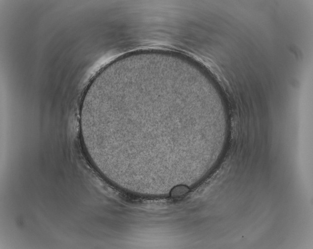 X0000111371363200908071205