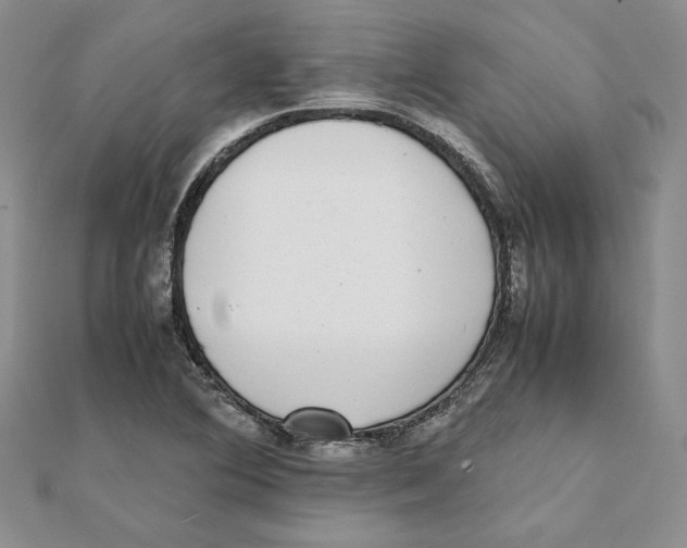 X0000111371364200908071205