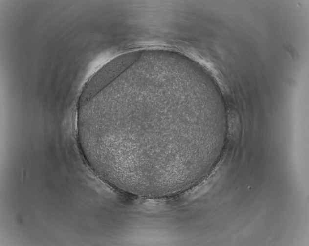 X0000111371365200908071205