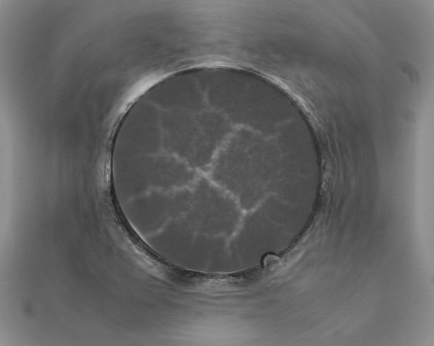 X0000111371367200908071205