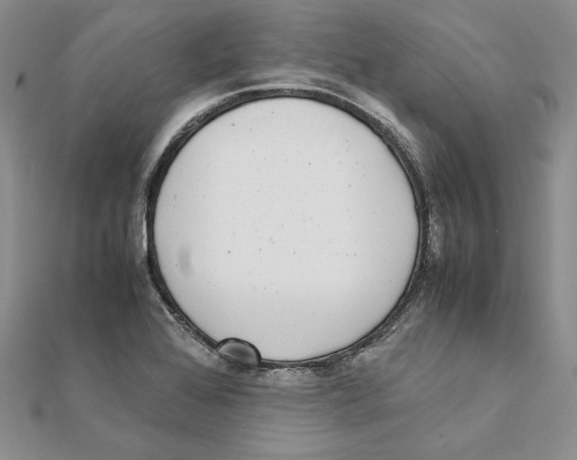 X0000111371368200908071205