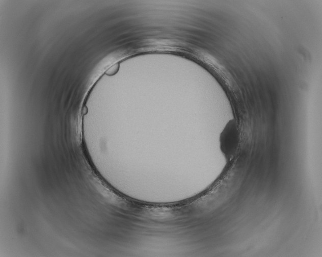 X0000111371370200908071205