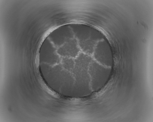 X0000111371371200908071205