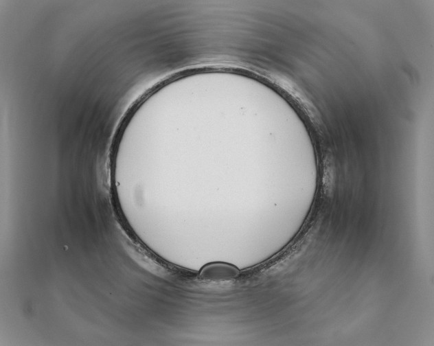X0000111371372200908071205