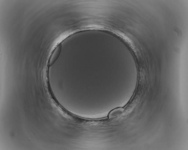 X0000111371373200908071205
