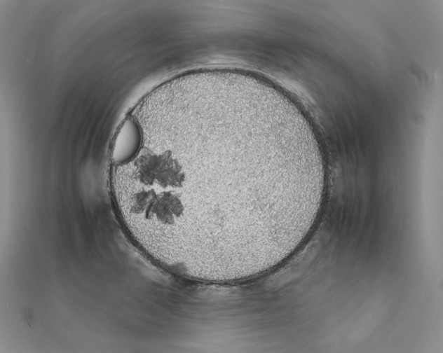 X0000111371374200908071205