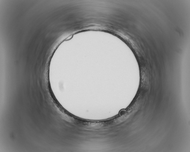 X0000111371375200908071205