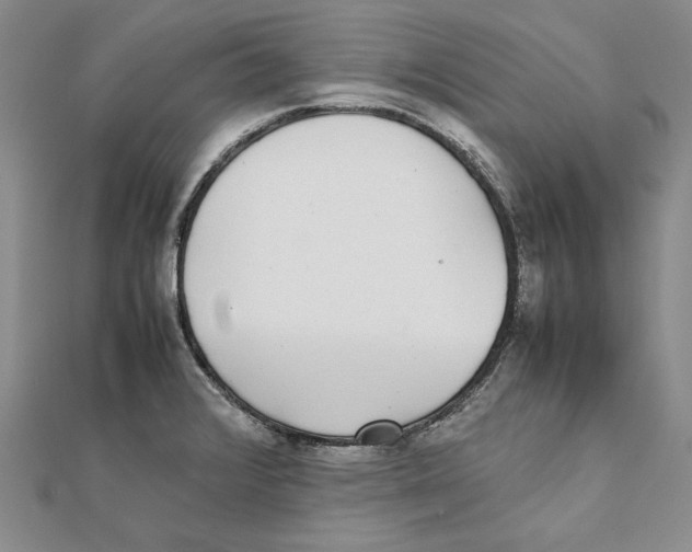 X0000111371376200908071205