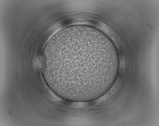 X0000111371377200908071205