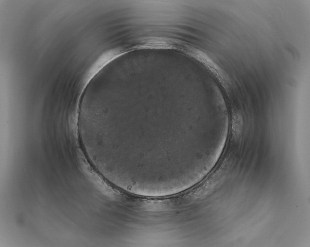X0000111371378200908071205