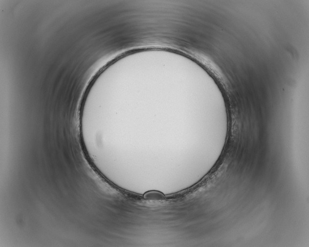 X0000111371380200908071205