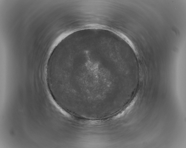 X0000111371381200908071205