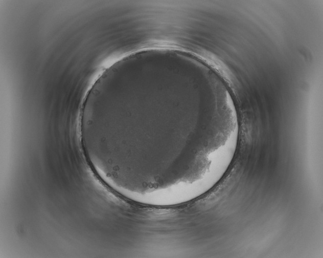 X0000111371382200908071205