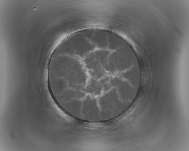 X0000111371383200908071205