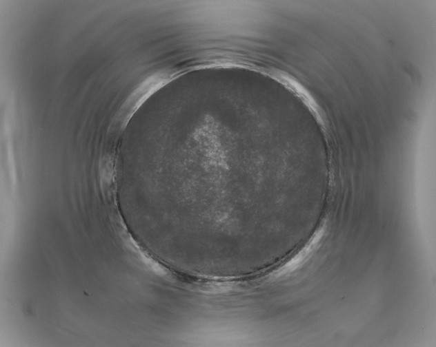X0000111371385200908071205