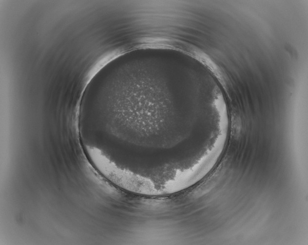 X0000111371386200908071205