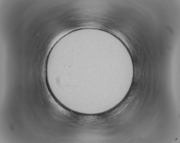 X0000111371387200908071205