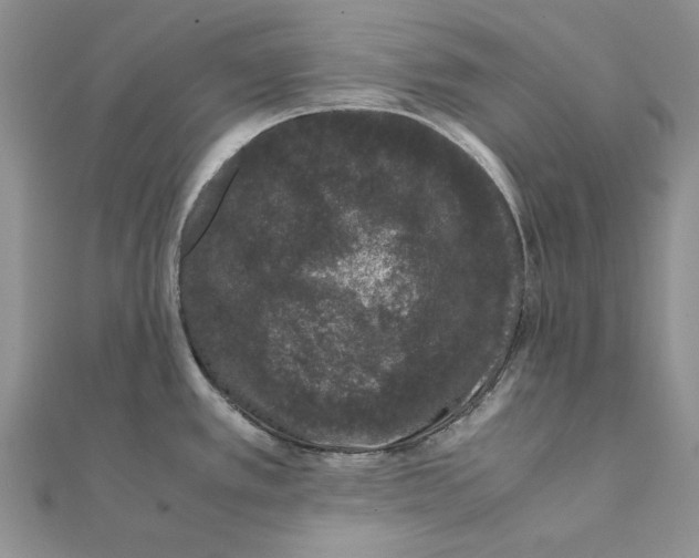 X0000111371389200908071205