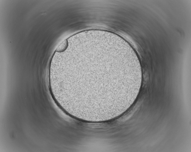 X0000111371391200908071205