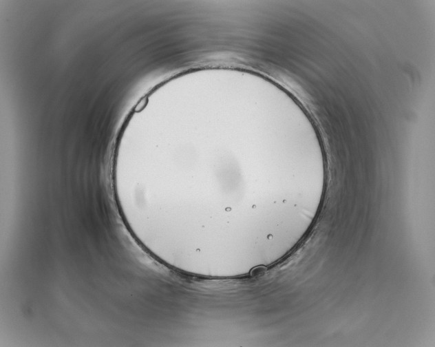 X0000111371392200908071205
