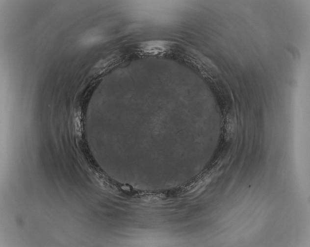 X0000111371394200908071204