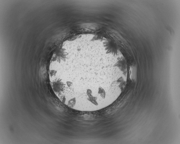 X0000111371395200908071204