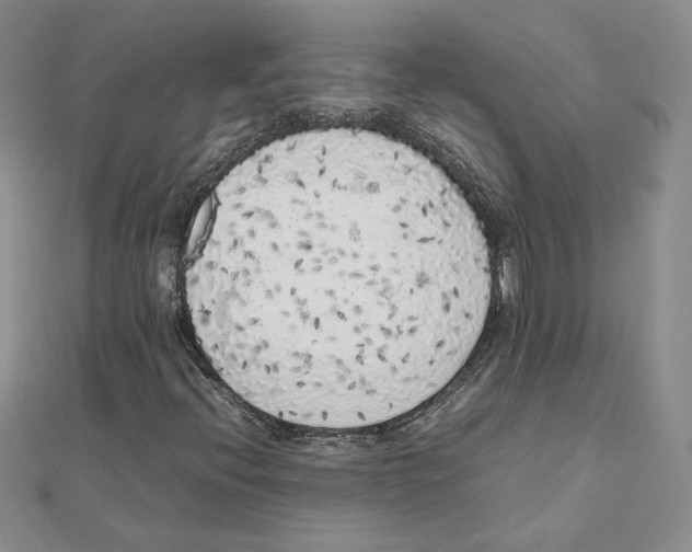 X0000111371396200908071204